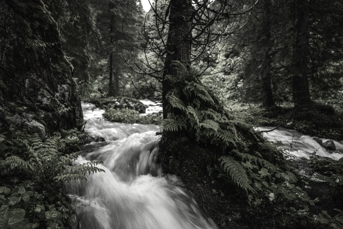 Stacks Image 190